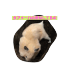 はむすたろう（個別スタンプ：22）