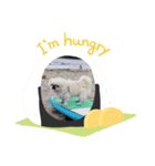 ペキニーズののんちゃん（個別スタンプ：5）