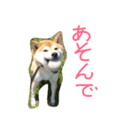 ぼくは琥珀☆（個別スタンプ：8）
