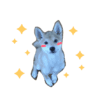 ぼくは琥珀☆（個別スタンプ：16）