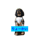 キャバリア まろくん Re.（個別スタンプ：9）