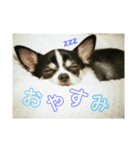 まいろ時々くるちゃん（個別スタンプ：2）