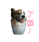 まいろ時々くるちゃん（個別スタンプ：4）