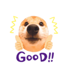 柴犬こなつスタンプ 3.（個別スタンプ：4）