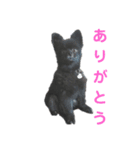 ナツメくんスタンプ（個別スタンプ：1）