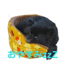 ナツメくんスタンプ（個別スタンプ：3）