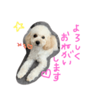 ミルキィスタンプ（個別スタンプ：4）