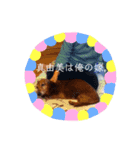 平田家の天使達（個別スタンプ：15）