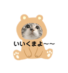 Mill and Lala（個別スタンプ：7）