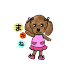可愛いプードル～ノエルファミリー（個別スタンプ：2）