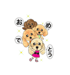 可愛いプードル～ノエルファミリー（個別スタンプ：6）