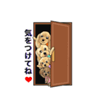 可愛いプードル～ノエルファミリー（個別スタンプ：11）