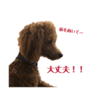 僕はころっけ（個別スタンプ：15）