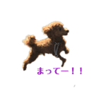 僕はころっけ（個別スタンプ：18）