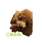 僕はころっけ（個別スタンプ：20）