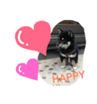 柴犬家族の日常（個別スタンプ：36）
