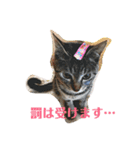おーちゃんの毎日♡（個別スタンプ：1）
