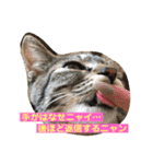 おーちゃんの毎日♡（個別スタンプ：3）