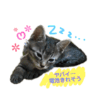 おーちゃんの毎日♡（個別スタンプ：4）