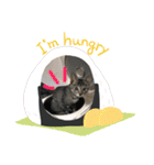 おーちゃんの毎日♡（個別スタンプ：5）