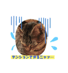 おーちゃんの毎日♡（個別スタンプ：10）