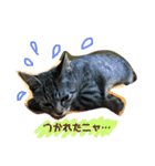 おーちゃんの毎日♡（個別スタンプ：13）
