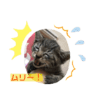 おーちゃんの毎日♡（個別スタンプ：18）
