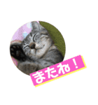 おーちゃんの毎日♡（個別スタンプ：21）