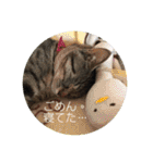 おーちゃんの毎日♡（個別スタンプ：22）