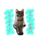 おーちゃんの毎日♡（個別スタンプ：24）