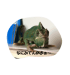 おかめとレオン（個別スタンプ：2）