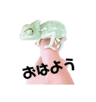 おかめとレオン（個別スタンプ：4）
