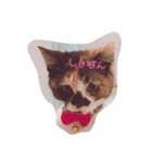 わが家のわんとにゃん（個別スタンプ：1）