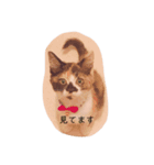 わが家のわんとにゃん（個別スタンプ：2）