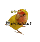 (๏‚θ‚๏)birdちゃん（個別スタンプ：5）