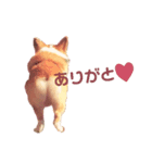 こうちゃんスタンプNo.1（個別スタンプ：7）