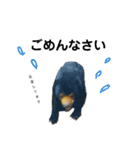 ゆかいな動物さん（個別スタンプ：6）