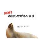 ゆかいな動物さん（個別スタンプ：13）