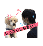 ゴンとカシュー40個（個別スタンプ：4）