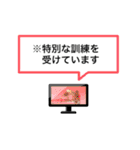 テレビでよくみる注釈テロップ（個別スタンプ：2）