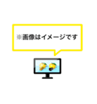 テレビでよくみる注釈テロップ（個別スタンプ：4）