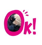 黒猫ぬまさん（個別スタンプ：2）