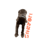 黒猫ぬまさん（個別スタンプ：8）