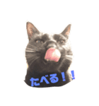 黒猫ぬまさん（個別スタンプ：9）