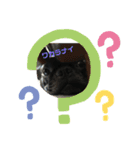 フレブルくん（個別スタンプ：1）
