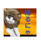 ぶちゃこ（個別スタンプ：5）