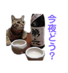 ぶちゃこ（個別スタンプ：8）