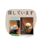 アランとクーちゃん（個別スタンプ：6）