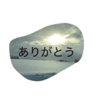 アランとクーちゃん（個別スタンプ：8）