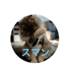 ネル様スタンプ（個別スタンプ：3）
